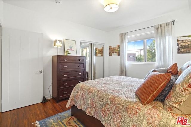 bedroom with dark hardwood / wood-style floors and a closet