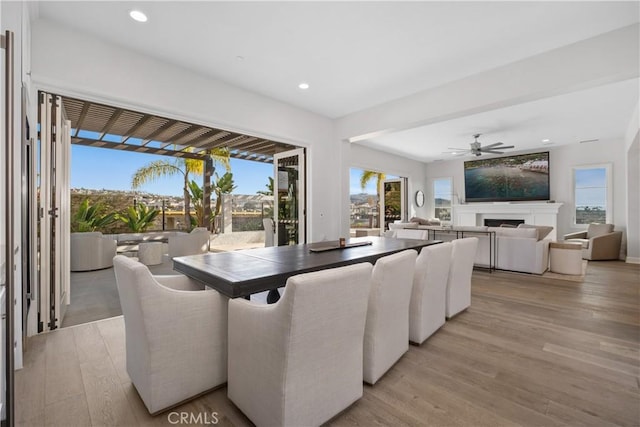 dining area with light hardwood / wood-style floors and ceiling fan