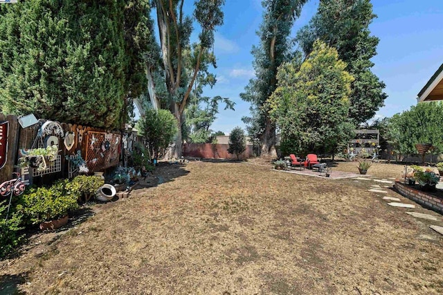 view of yard with a patio