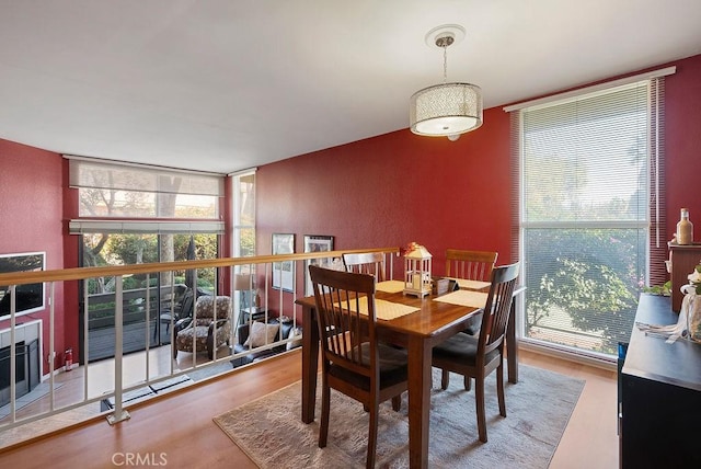 dining room with expansive windows, a healthy amount of sunlight, and light hardwood / wood-style floors