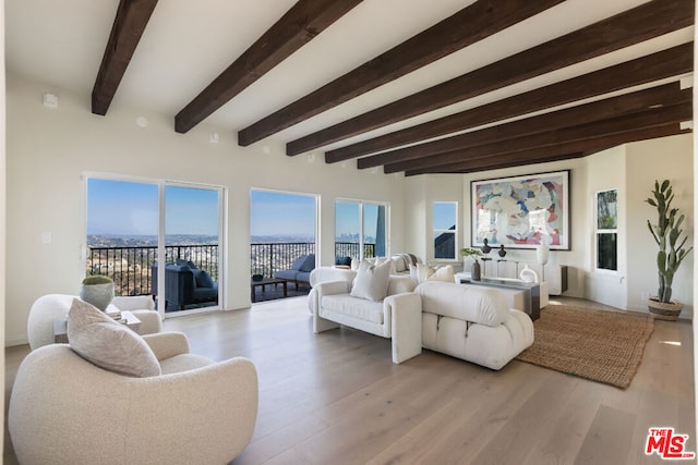 living room featuring light hardwood / wood-style flooring, beamed ceiling, and a healthy amount of sunlight