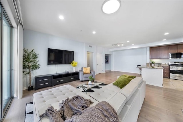 living room with light wood-type flooring