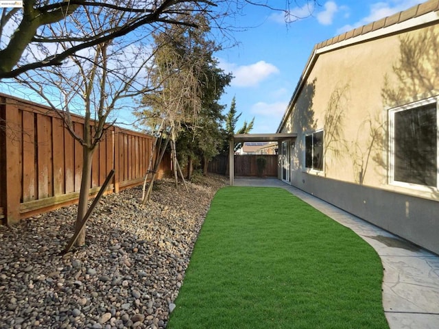 view of yard featuring a patio