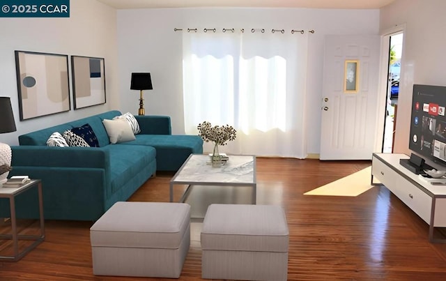 living room featuring hardwood / wood-style flooring