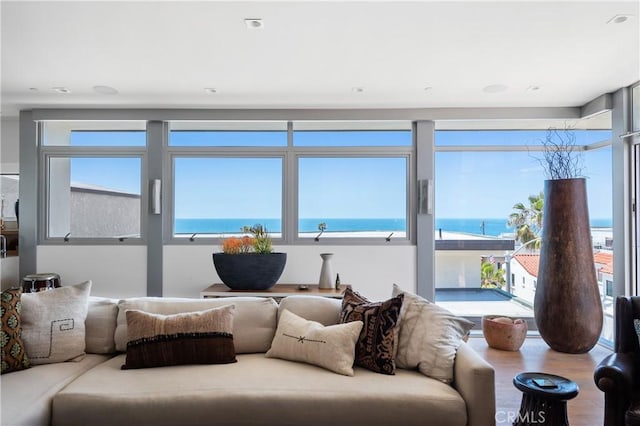 living room with a water view and wood finished floors