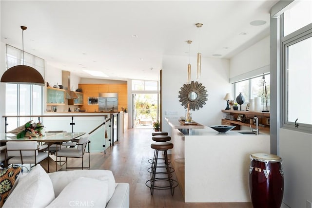 bar with wood finished floors, a wealth of natural light, island exhaust hood, and built in appliances