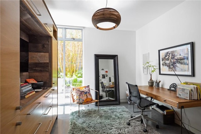 office featuring a wall of windows and concrete flooring