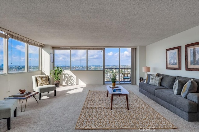 carpeted living area with a textured ceiling