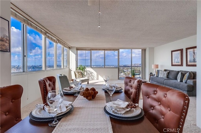 living room with a textured ceiling and carpet