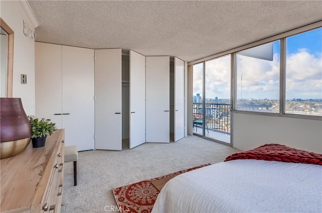 bedroom featuring a view of city, light carpet, multiple closets, access to outside, and a textured ceiling