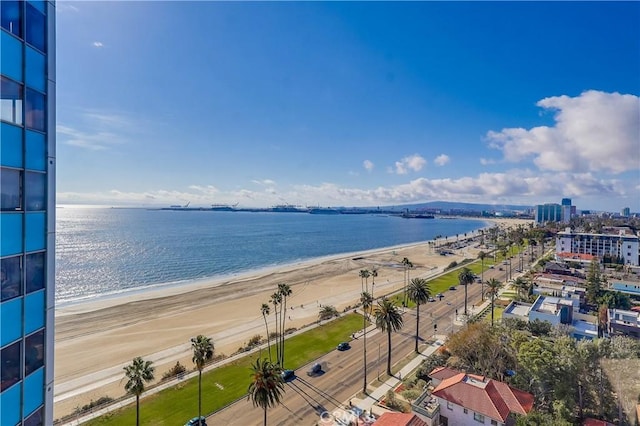 water view featuring a beach view