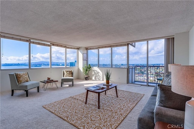 living room featuring carpet and a textured ceiling