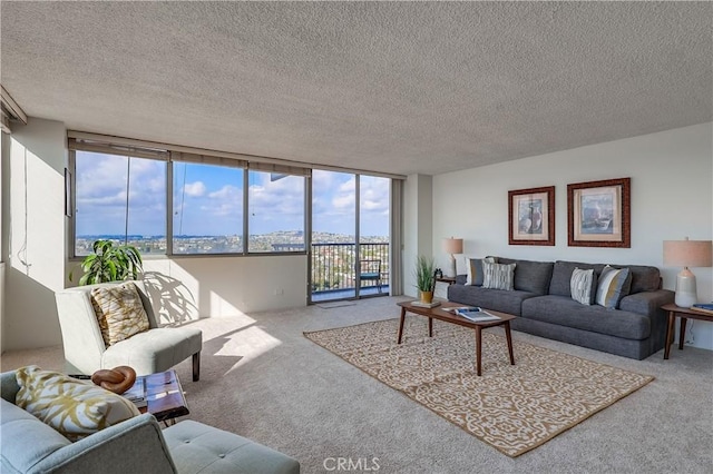 carpeted living area with a textured ceiling