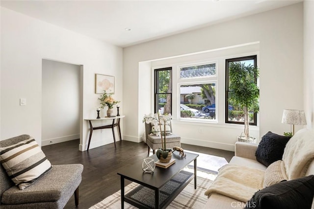 living room with dark hardwood / wood-style flooring