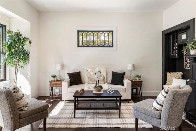 living room with wood-type flooring