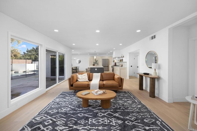 living room with light hardwood / wood-style floors