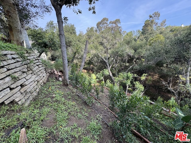 view of landscape