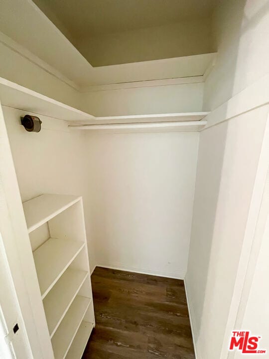 spacious closet featuring dark hardwood / wood-style flooring