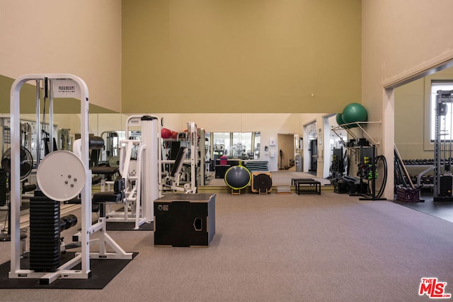 exercise room with a high ceiling