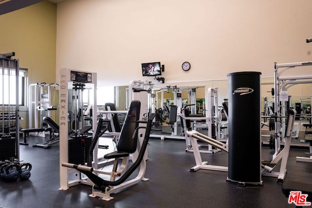 gym featuring a high ceiling and a wealth of natural light