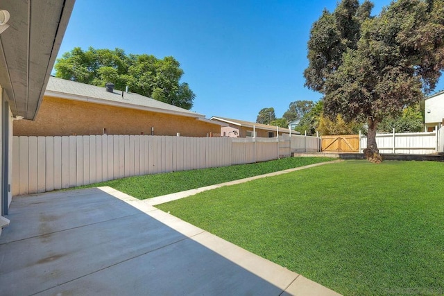 view of yard featuring a patio