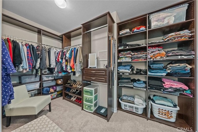 spacious closet featuring carpet flooring