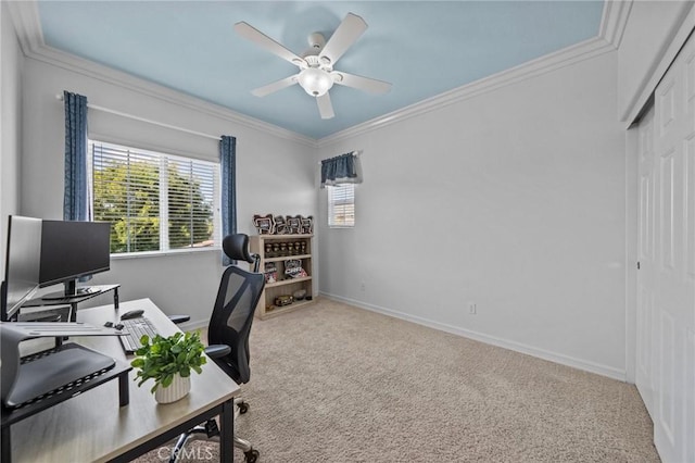 carpeted office space featuring crown molding and ceiling fan