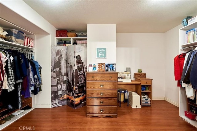 walk in closet featuring wood finished floors