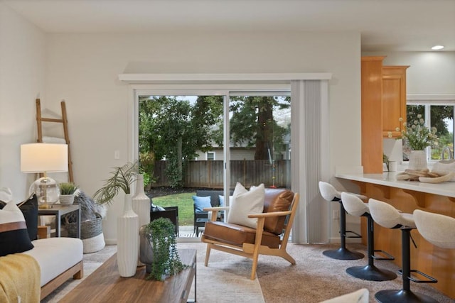 interior space featuring light colored carpet and a healthy amount of sunlight