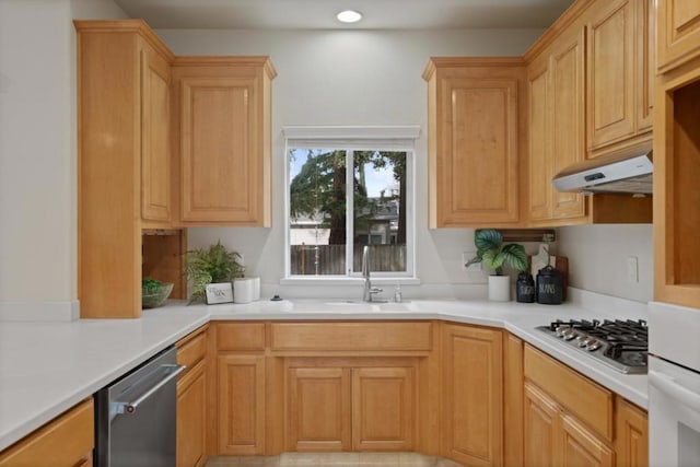 kitchen with sink and stainless steel appliances