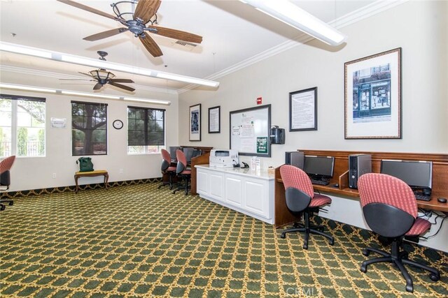 carpeted home office featuring crown molding and a healthy amount of sunlight