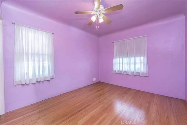 empty room featuring ceiling fan, plenty of natural light, and light hardwood / wood-style floors