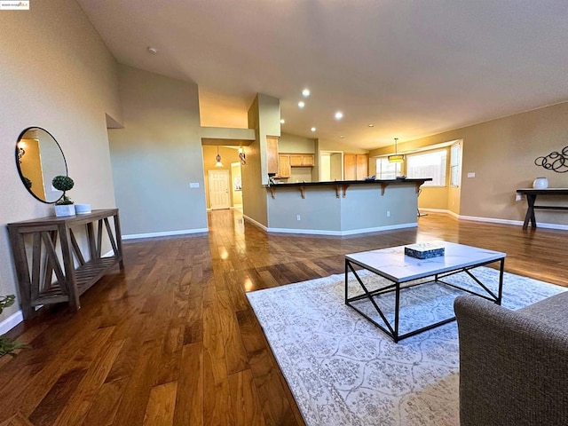 living room featuring dark wood-type flooring