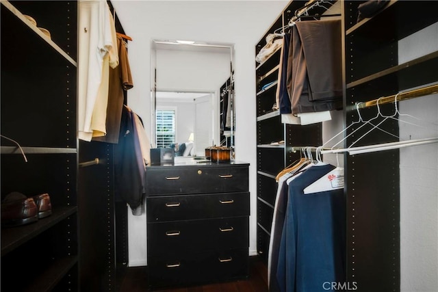 view of walk in closet