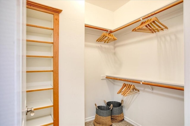 walk in closet featuring carpet floors