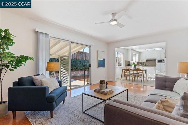 living room featuring ceiling fan and light wood-type flooring