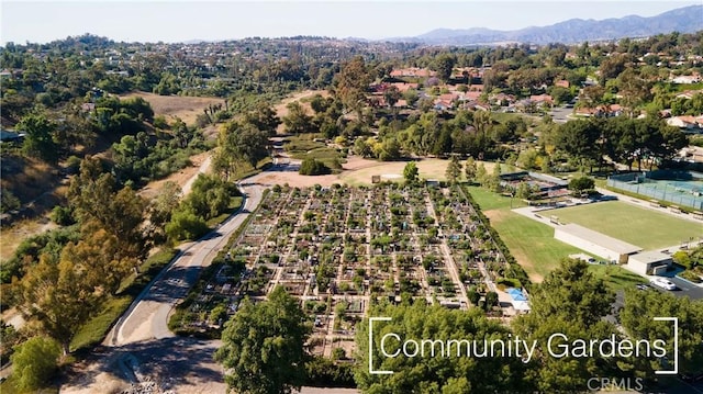 birds eye view of property featuring a mountain view