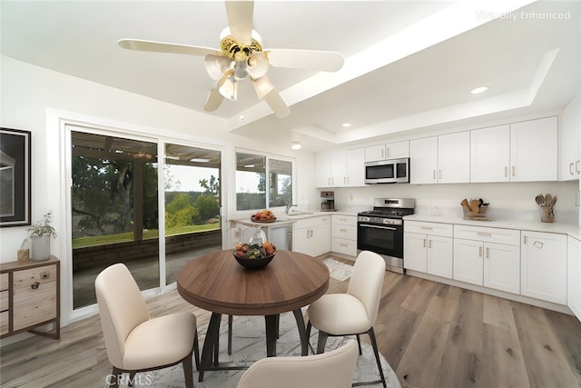 kitchen featuring white cabinetry, appliances with stainless steel finishes, and a tray ceiling