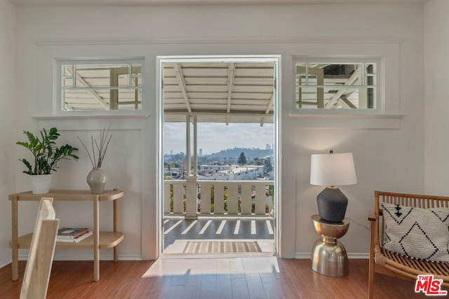 doorway featuring hardwood / wood-style floors