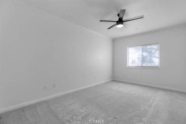 carpeted spare room with ceiling fan and ornamental molding