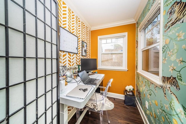 office with ornamental molding and wood-type flooring