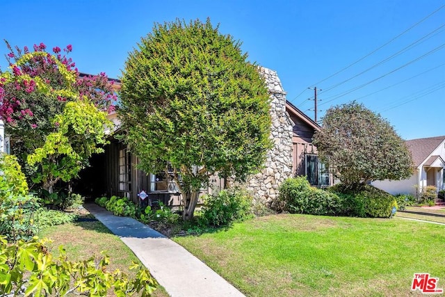 obstructed view of property with a front lawn