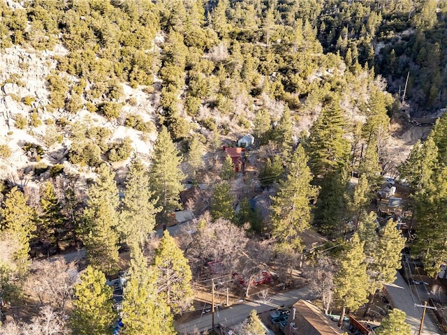 aerial view with a forest view