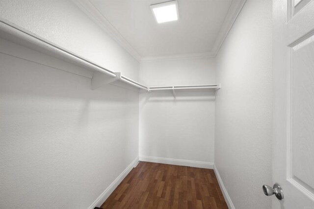 spacious closet with dark wood-style floors