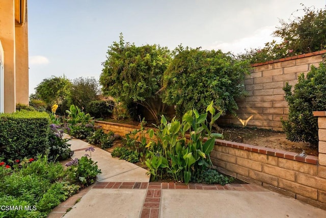 view of yard with a patio