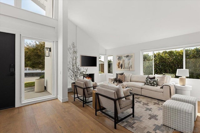 living room with hardwood / wood-style flooring and high vaulted ceiling