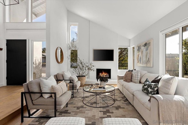 living room with high vaulted ceiling and light hardwood / wood-style floors