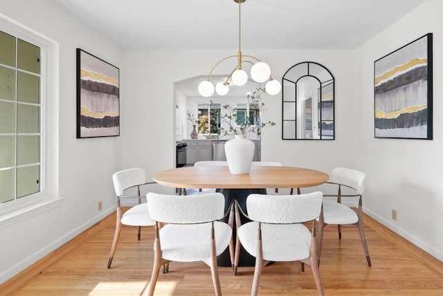 dining space with light hardwood / wood-style floors