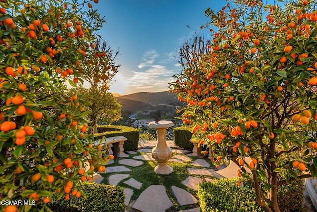 yard at dusk with a mountain view and a patio area