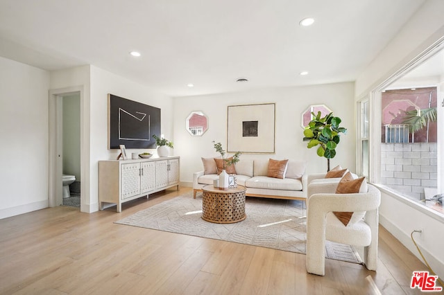 living room featuring light hardwood / wood-style floors